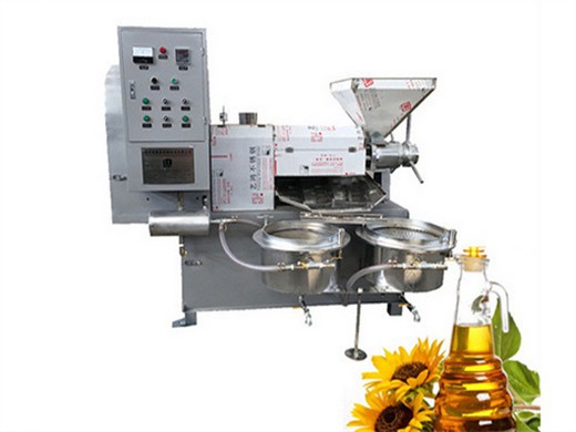 Prensa de aceite de sésamo y soja automática modelo GC95 en La Paz