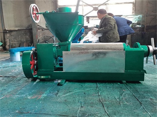 Máquina de prensado de aceite de fábrica profesional en Perú