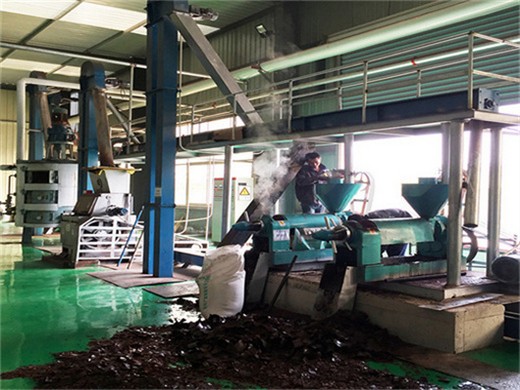 Máquina de prensado en frío de aceite con expulsor automático de aceite SCEO en Colombia