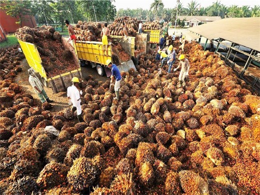 Maquina prensadora para la producción de aceite de palma en El Salvador