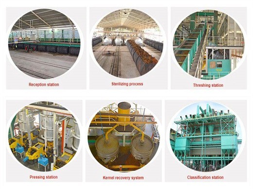 Proceso de preparación de la máquina de prensa de aceite de palma oilfa en Tegucigalpa