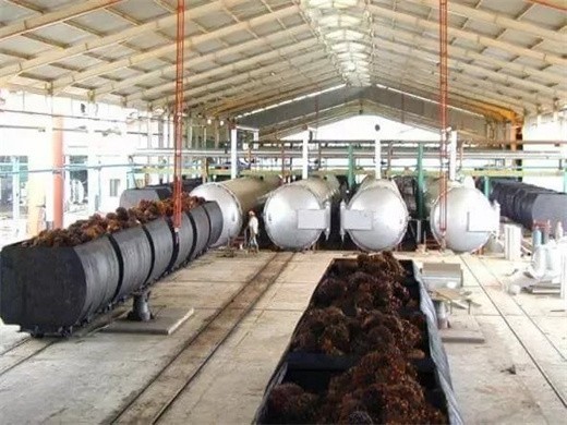 Máquina deshidratadora de voluta de tornillo para fábrica de aceite de palma en Bolivia