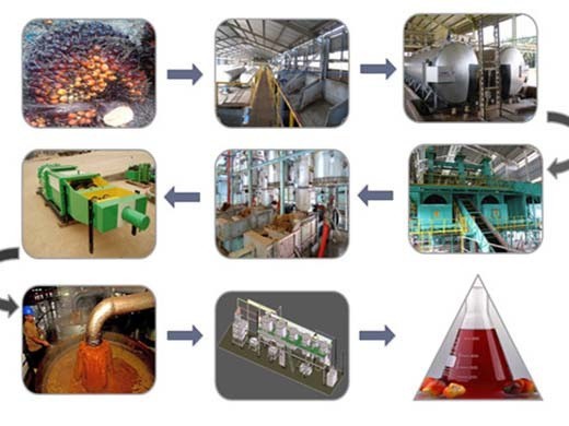 Máquina prensadora de aceite de palma de alta velocidad, primera opción de Argentina