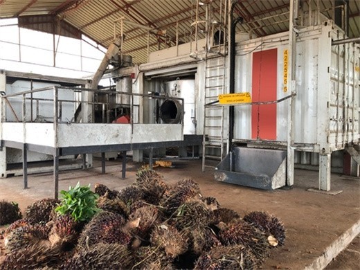 Instalación de un molino de aceite de palma en La Habana