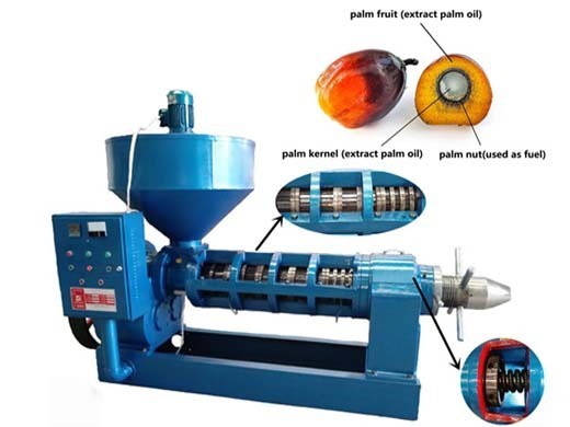 Maquina procesadora de aceite de palma fabricada localmente en Cuba