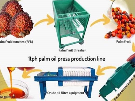 Maquina procesadora de aceite de palmiste con iso en chile