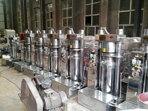 Venta caliente de máquina de prensado hidráulico de aceite de soja en Cuba