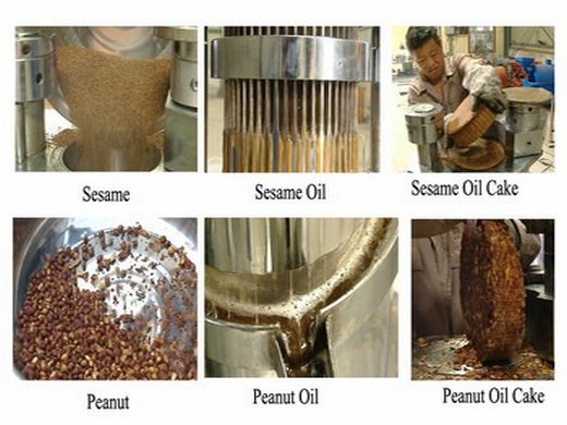 sinoder suministra máquina prensadora de aceite hidráulica en la paz